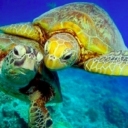photo thumbnail