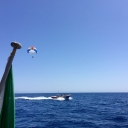 Sailing Malta