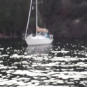 s/v Sly Fox
