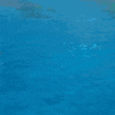 Animations